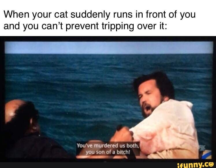 When your cat suddenly runs in front of you and you can't prevent tripping over it:
You've murdered us both,
you Son of a bitch!