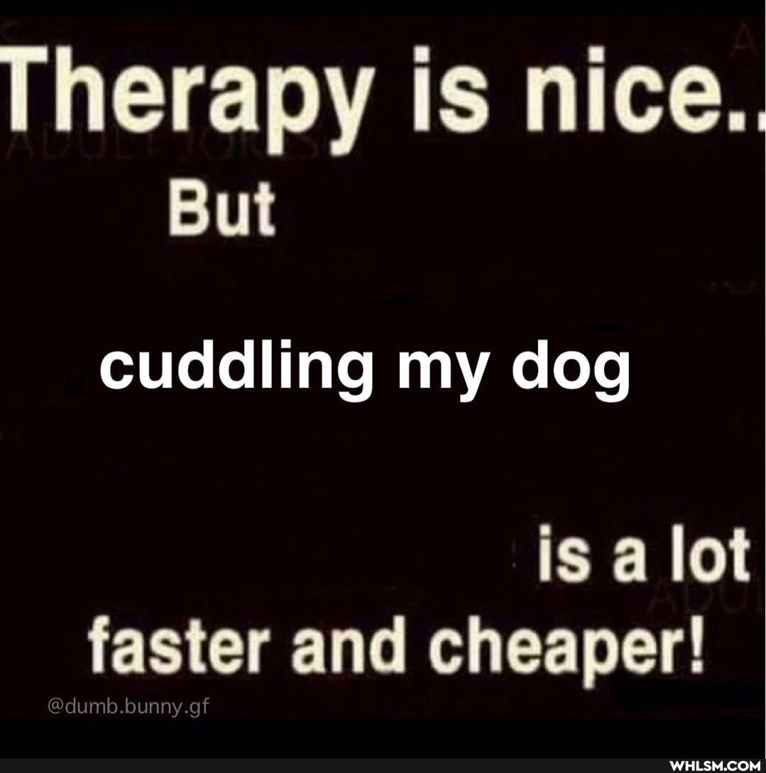 Therapy is nice..
But
cuddling my dog
is a lot faster and cheaper!