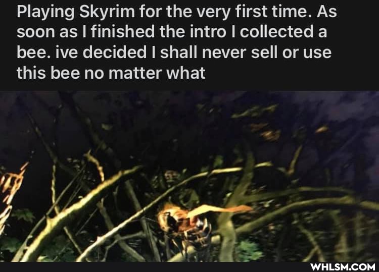 Playing Skyrim for the very first time. As soon as I finished the intro I collected a bee. ive decided I shall never sell or use this bee no matter what