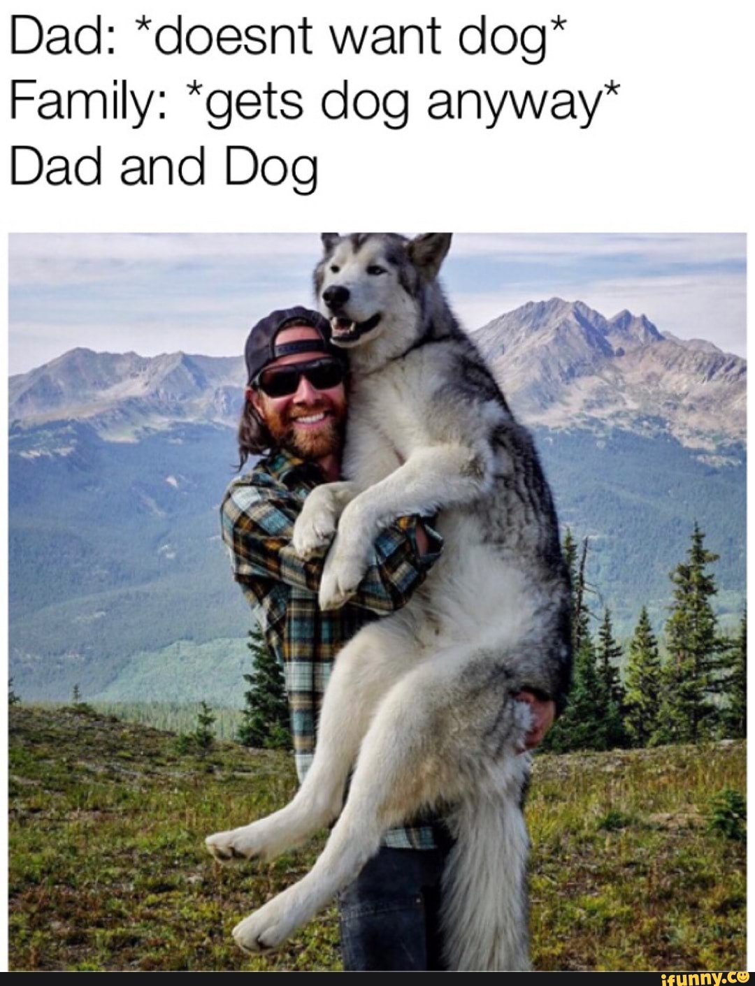 Dad doesnt Want Dog Family gets Dog Anyway Dad And Dog IFunny 