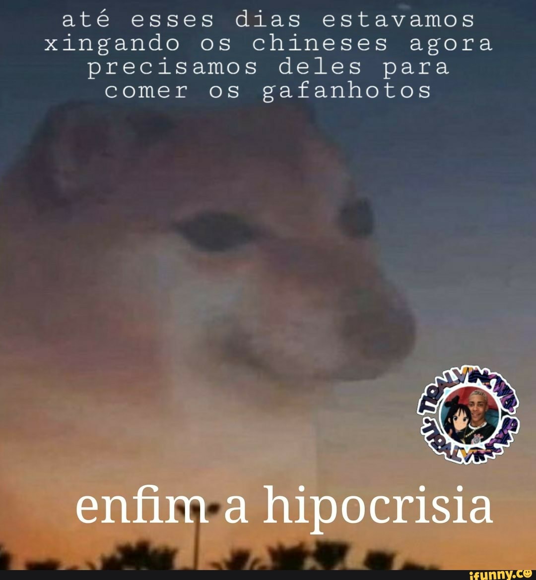 até esses dias estavamos
xingando os chineses agora
precisamos deles para
comer os gafanhotos