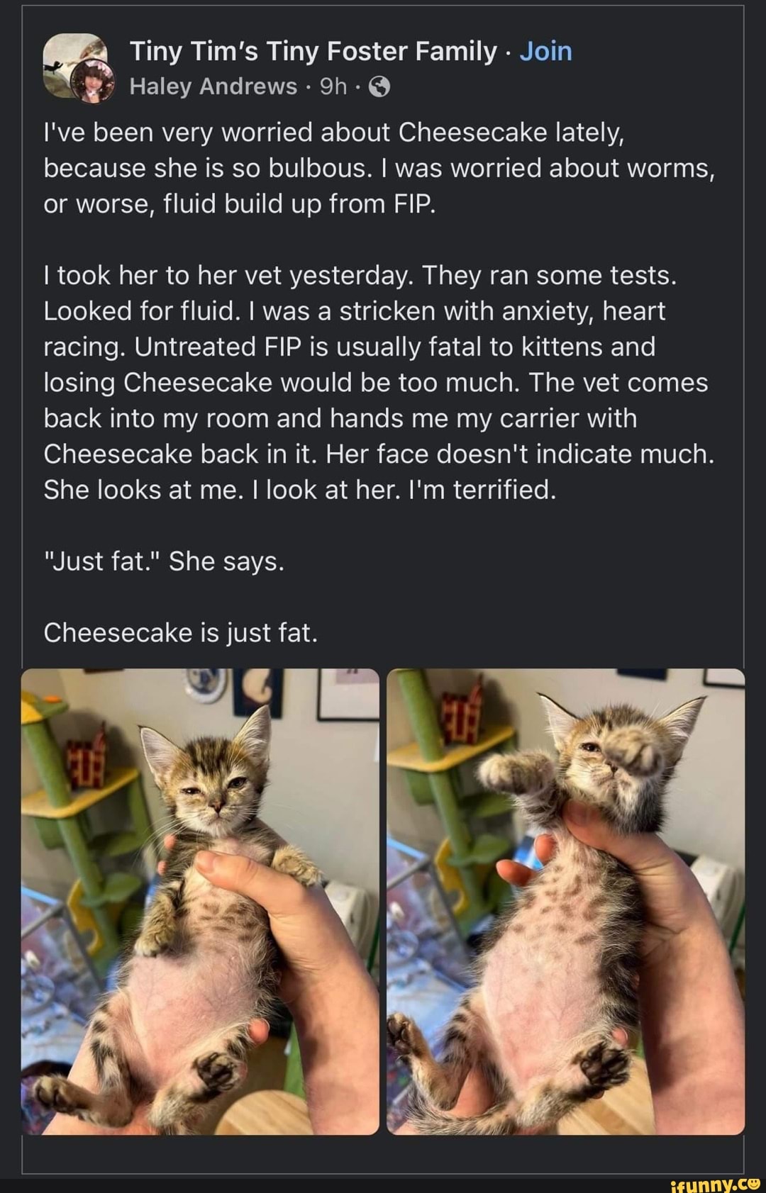 Tiny Tim's Tiny Foster Family Join Haley Andrews Sh I've been very