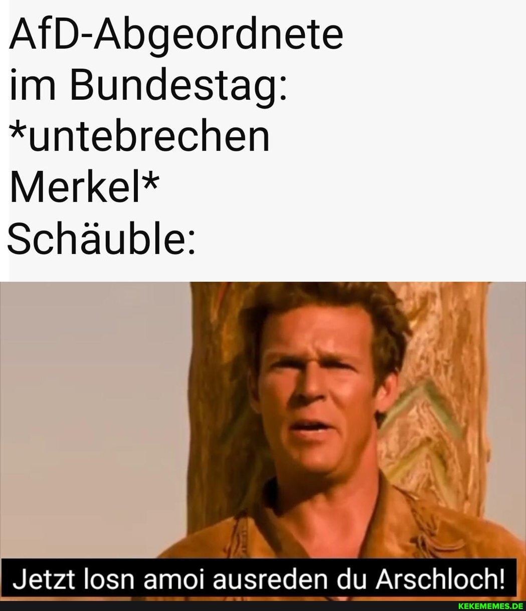 AfD-Abgeordnete im Bundestag:
*untebrechen
Merkel*
Schäuble:
Jetzt losn amoi ausreden du Arschloch! I