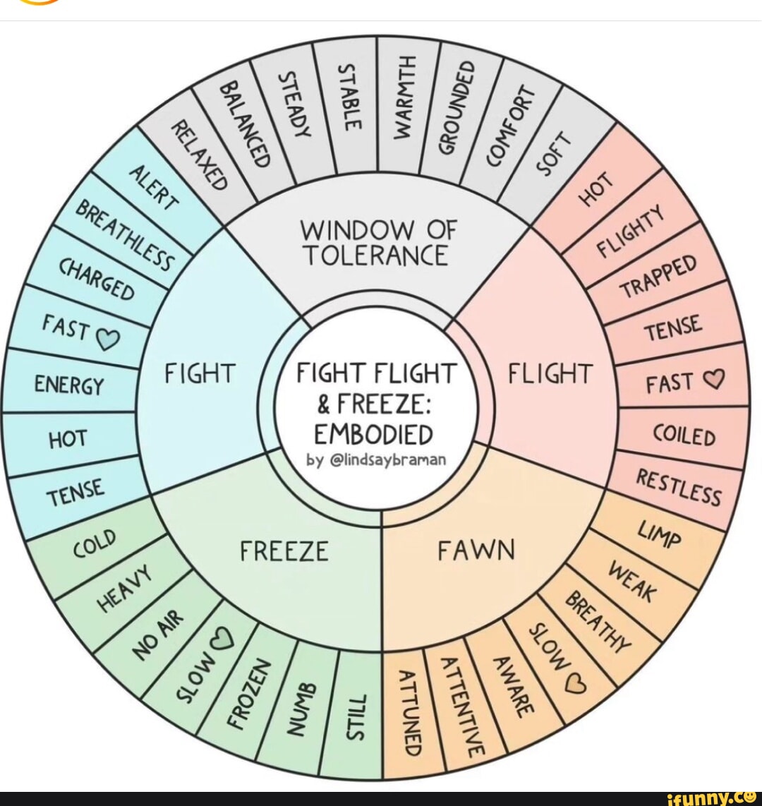 WINDOW OF TOLERANCE FIGHT FLIGHT FREEZE: EMBODIED - iFunny