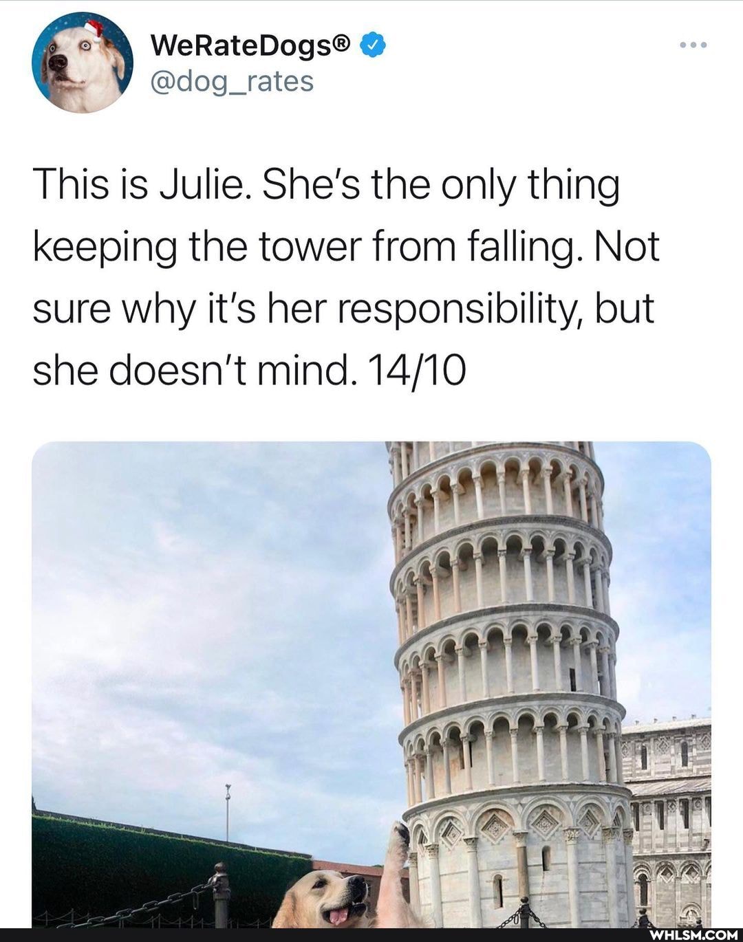 @dlog_rates
This is Julie. She's the only thing keeping the tower from falling. Not sure why it's her responsibility, but she doesn't mind.