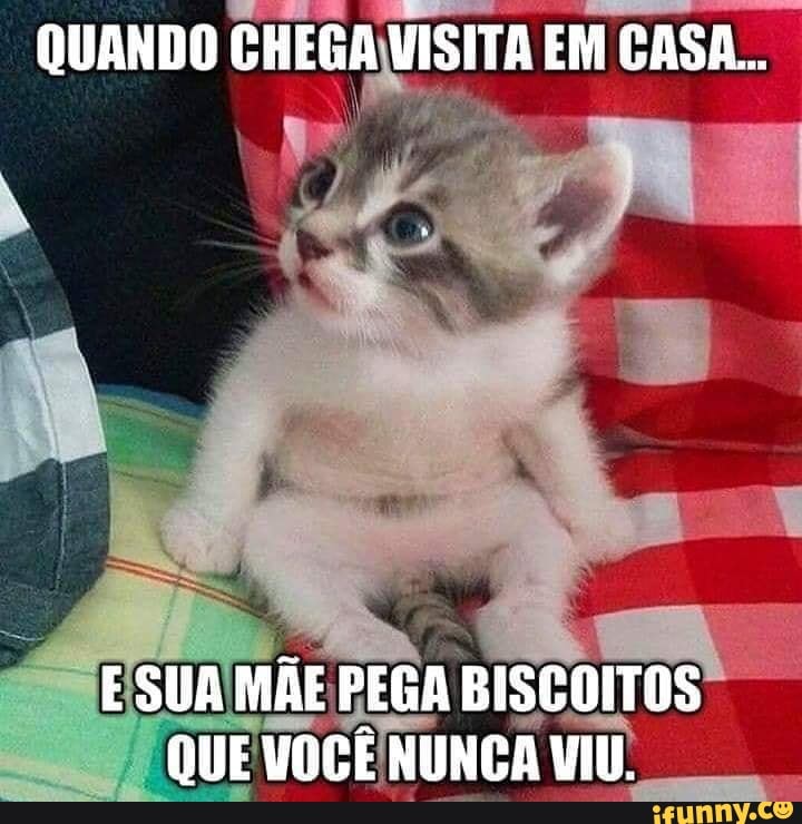 CHEGA VISITA E EM Er