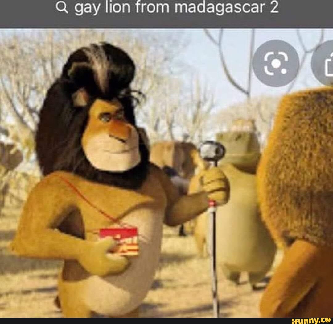 Gay lion from madagascar 2