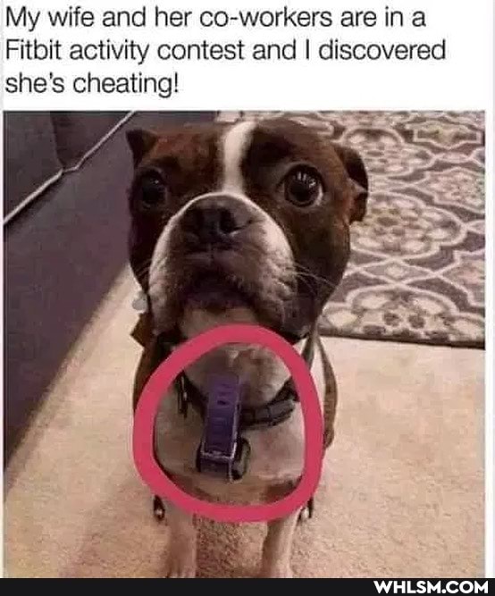 My wife and her co-workers are ina
Fitbit activity contest and I discovered she's cheating!