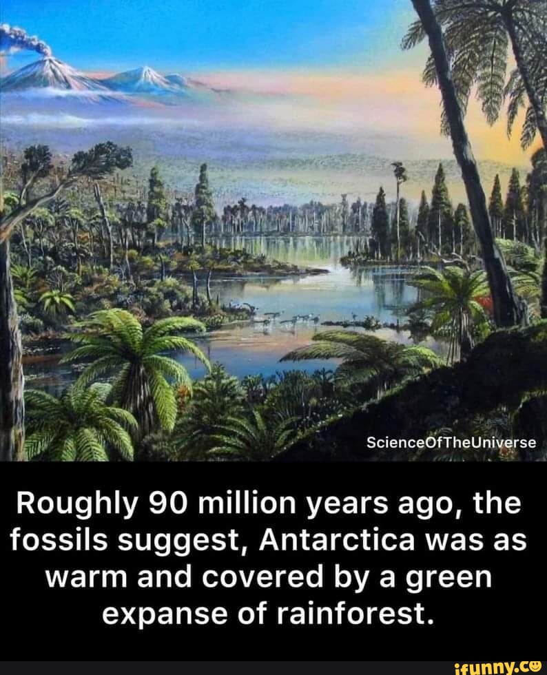 ScienceOfTheUniverse Roughly 90 million years ago, the fossils suggest, Antarctica was as warm and covered by a green expanse of rainforest. - iFunny