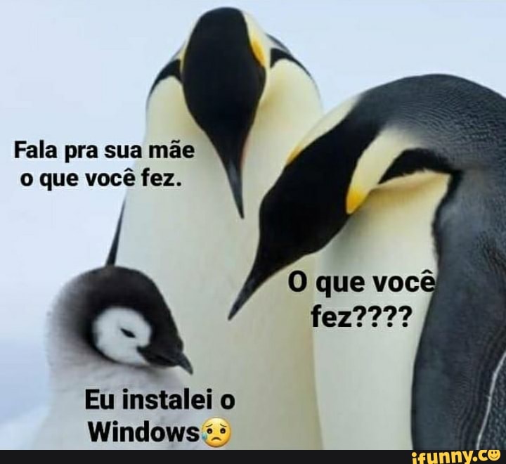 Fala pra sua mãe o que você fez.
que
Eu instalei o
Windows
