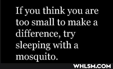 If you think you are too small to make a difference, try sleeping with a