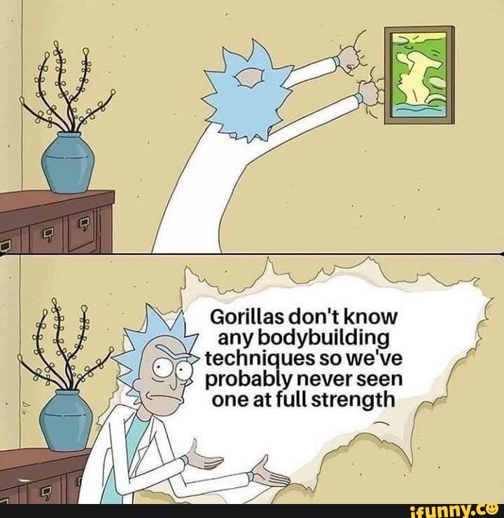 Gorillas don't know any bodybuilding techniques so we've seen probably never seen one at full strength