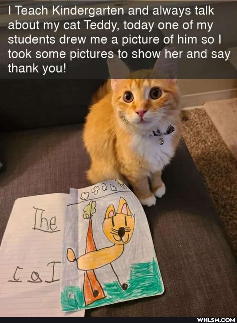 I Teach Kindergarten and always talk about my cat Teddy, today one of my students drew me a picture of him so I took some pictures to show her and say thank you!