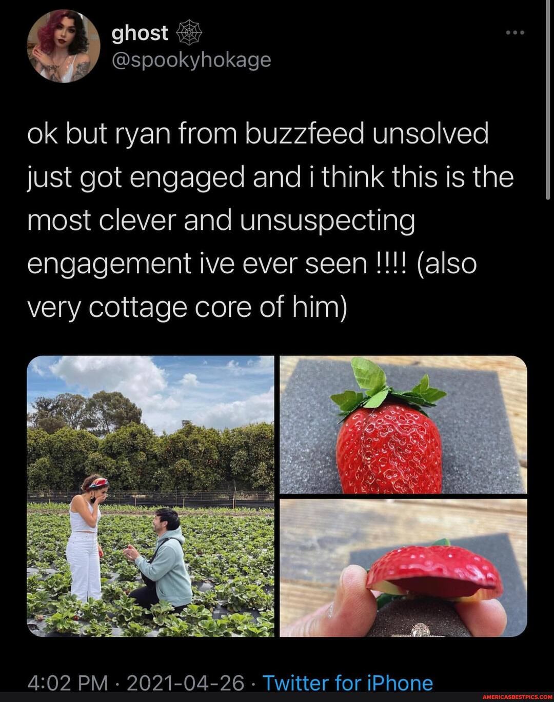 ghost
@spookyhokage
ok but ryan from buzzfeed unsolved just got engaged and i think this is the most clever and unsuspecting engagement ive ever seen (also very cottage core of him)
AAAA AA