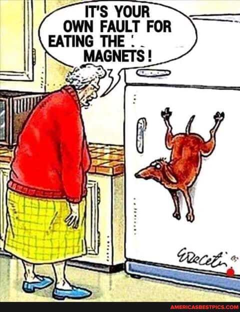 IT'S YOUR OWN FAULT FOR
EATING THE MAGNETS !