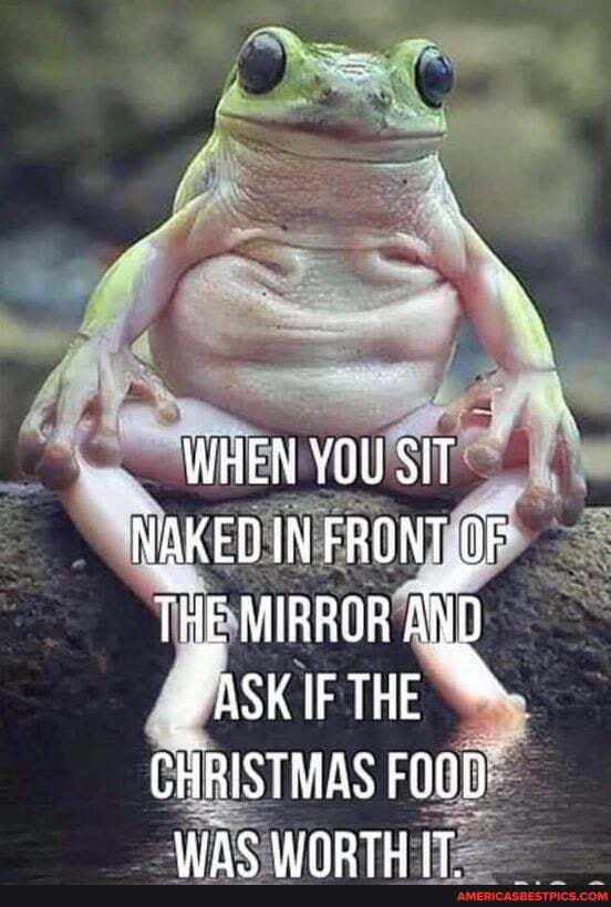 WHEN YOU SIT
NAKED IN FRONT OF THE MIRROR AND HASK THE
CHRISTMAS FOOD WIAC UAABTH IT