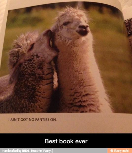ever Best book - Best book ever