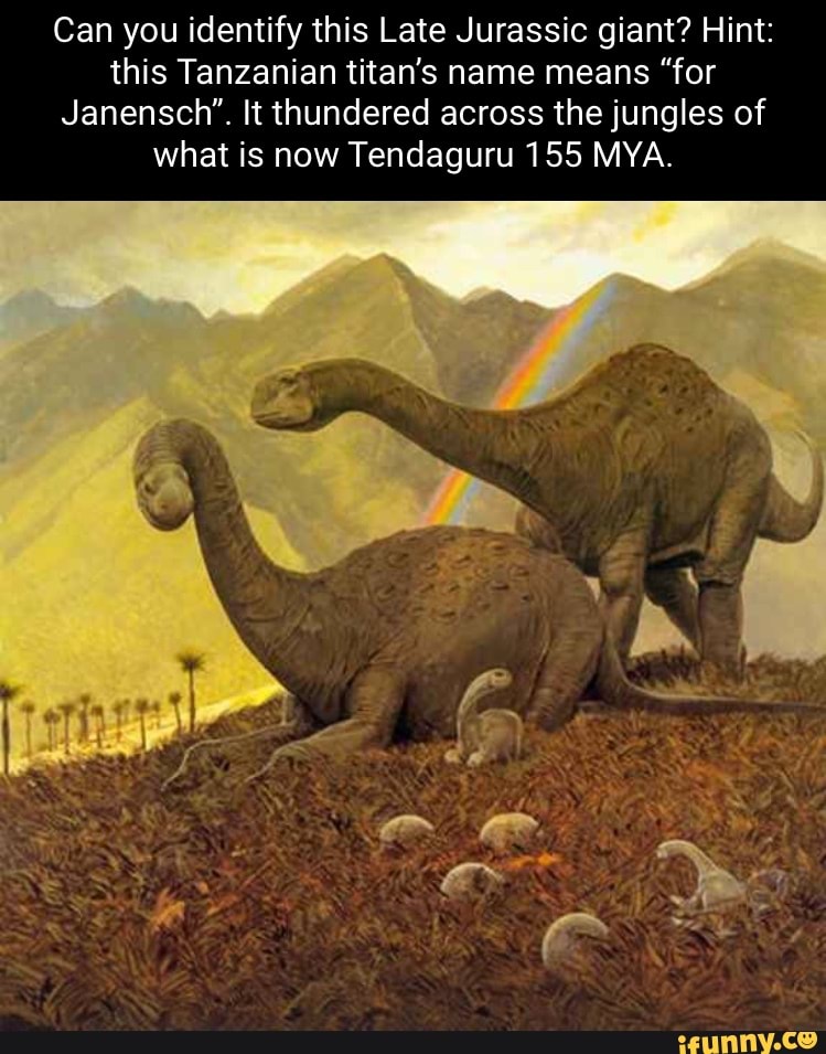 Can you identify this Late Jurassic giant? Hint: this Tanzanian titan's ...