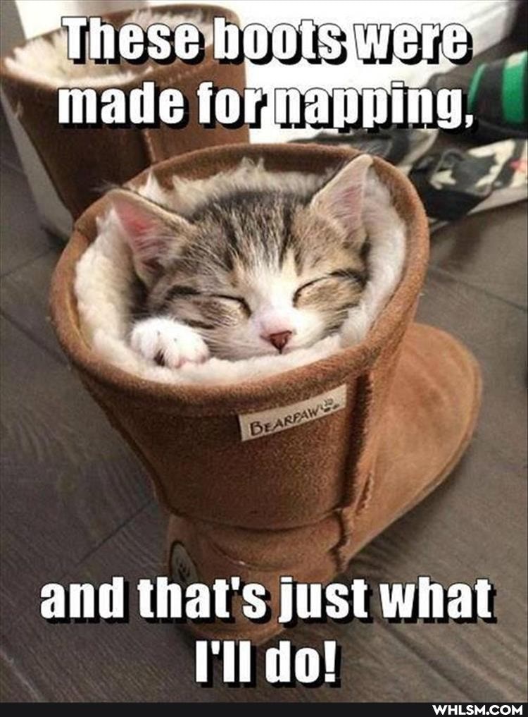 * These huotswere made fornapning,
m * and that's just what
do!