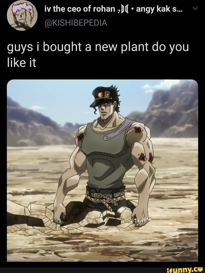 guys i bought a new plant do you
like it