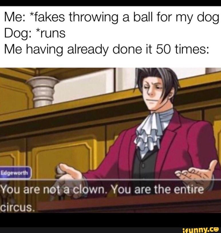 Me *fakes throwing a ball for my dog Dog *runs Me having already done