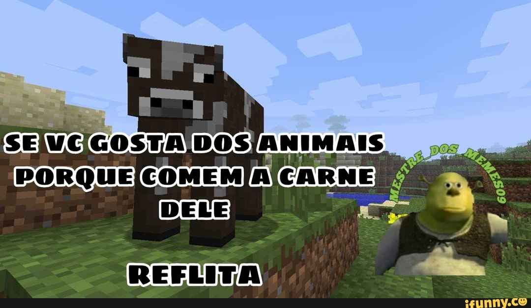 PORQUE
DELE
REFLITA