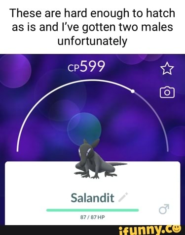 Salandit memes. Best Collection of funny Salandit pictures on iFunny