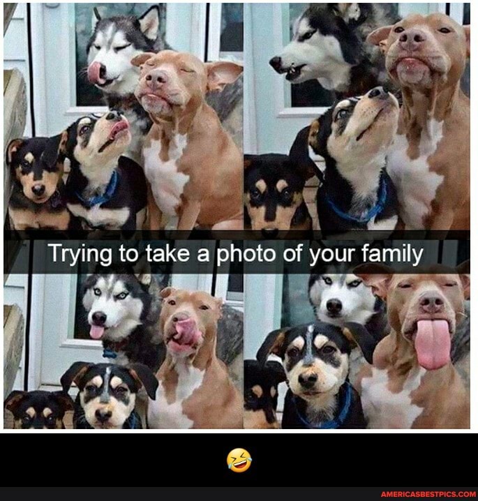 Trying to take a photo of your family
AR - 🤣