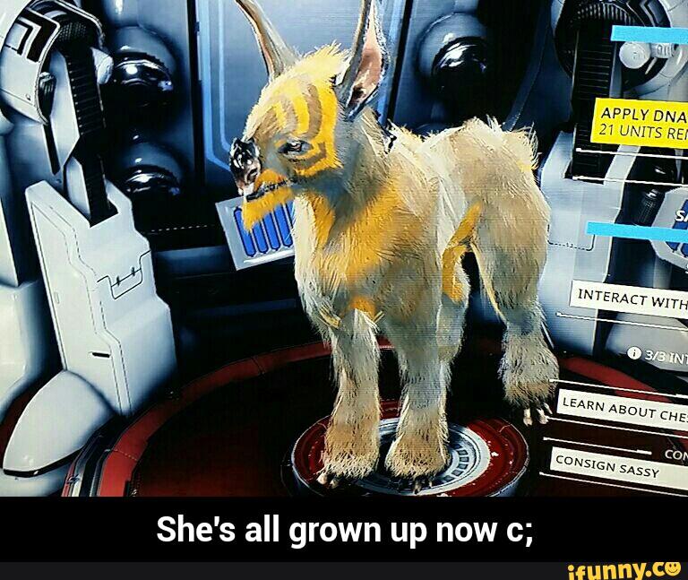 She's all grown up now c; - She's all grown up now c;