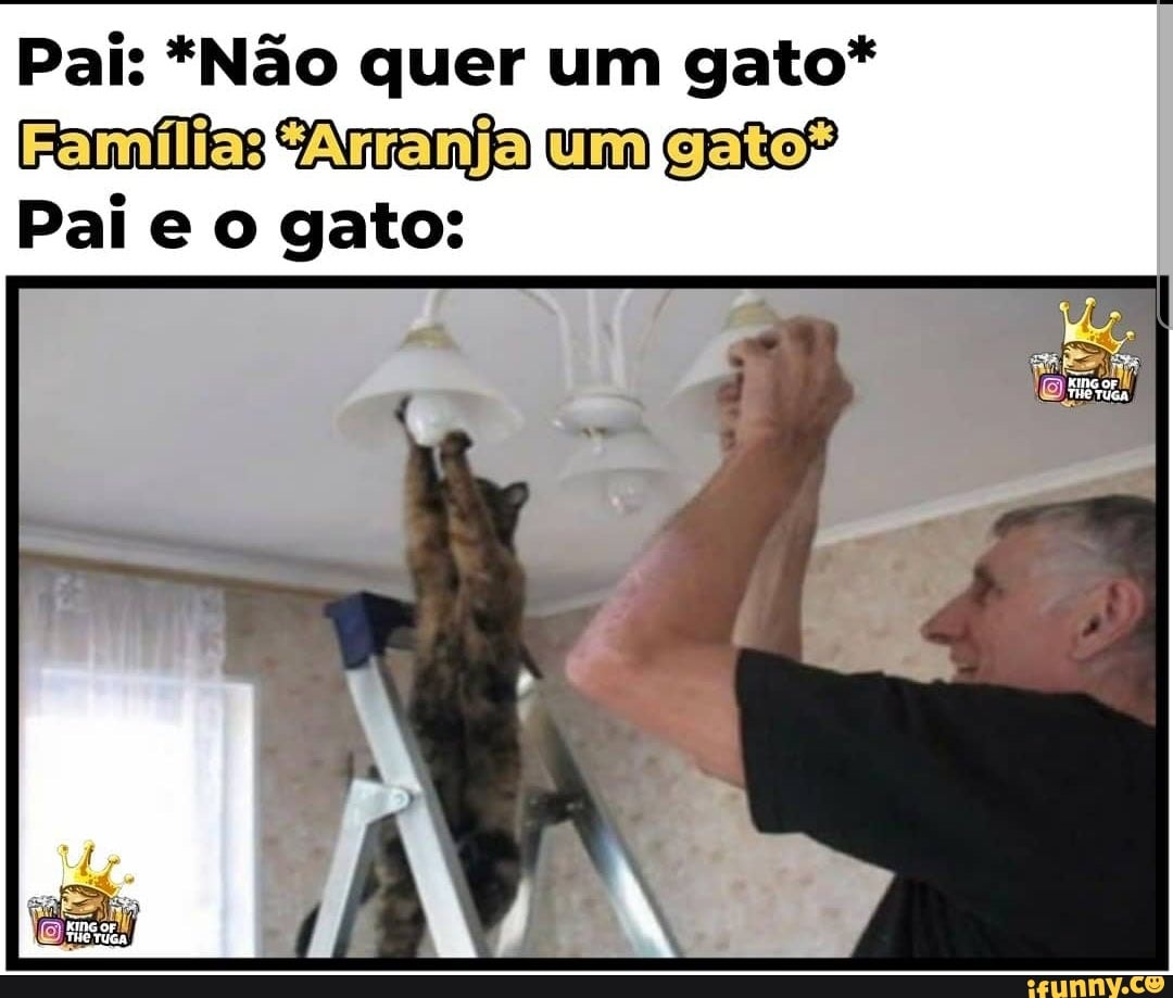 Pai: *Não quer um gato*
Famílias um
Pai e o gato: