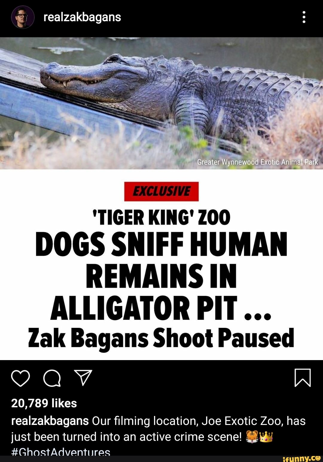 "TIGER KING' ZOO DOGS SNIFF HUMAN REMAINS IN ALLIGATOR PIT... Zak