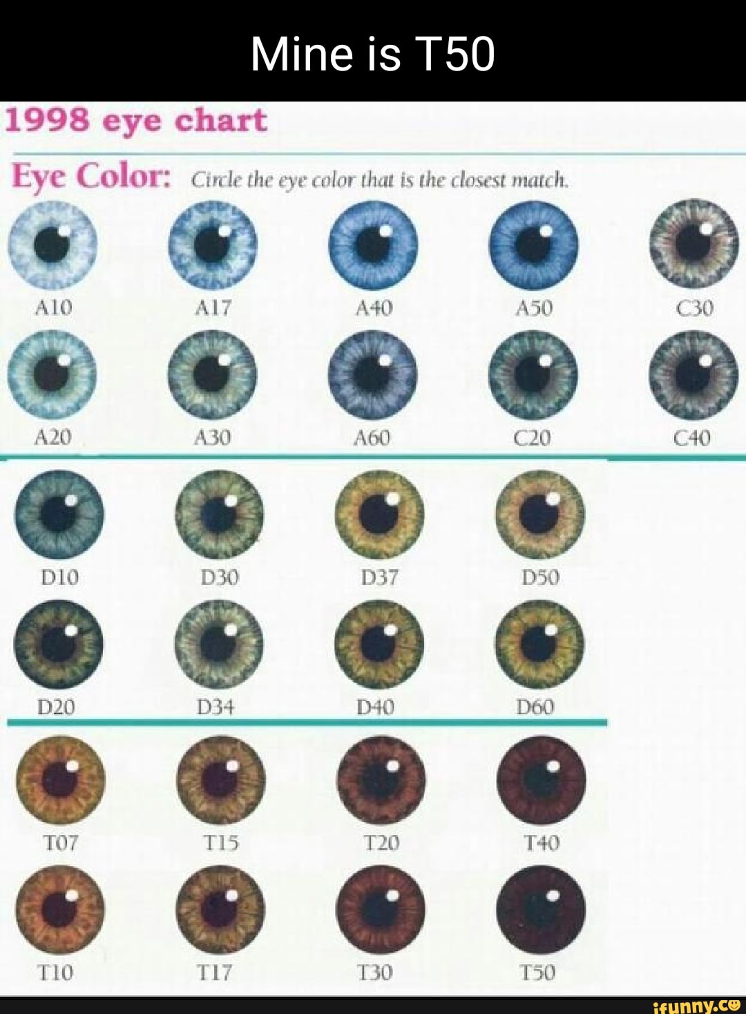 Mine is 1998 eye chart Fy Color Circle the eye color that is the