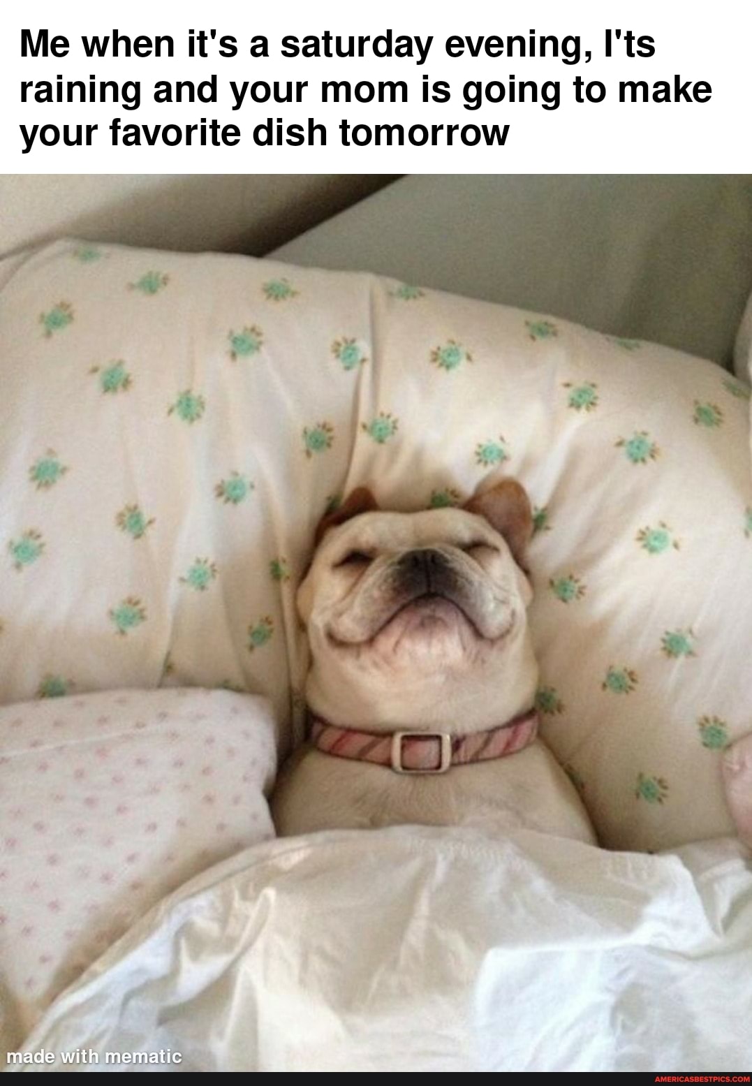 Me when it's a saturday evening, I'ts raining and your mom is going to make your favorite dish tomorrow