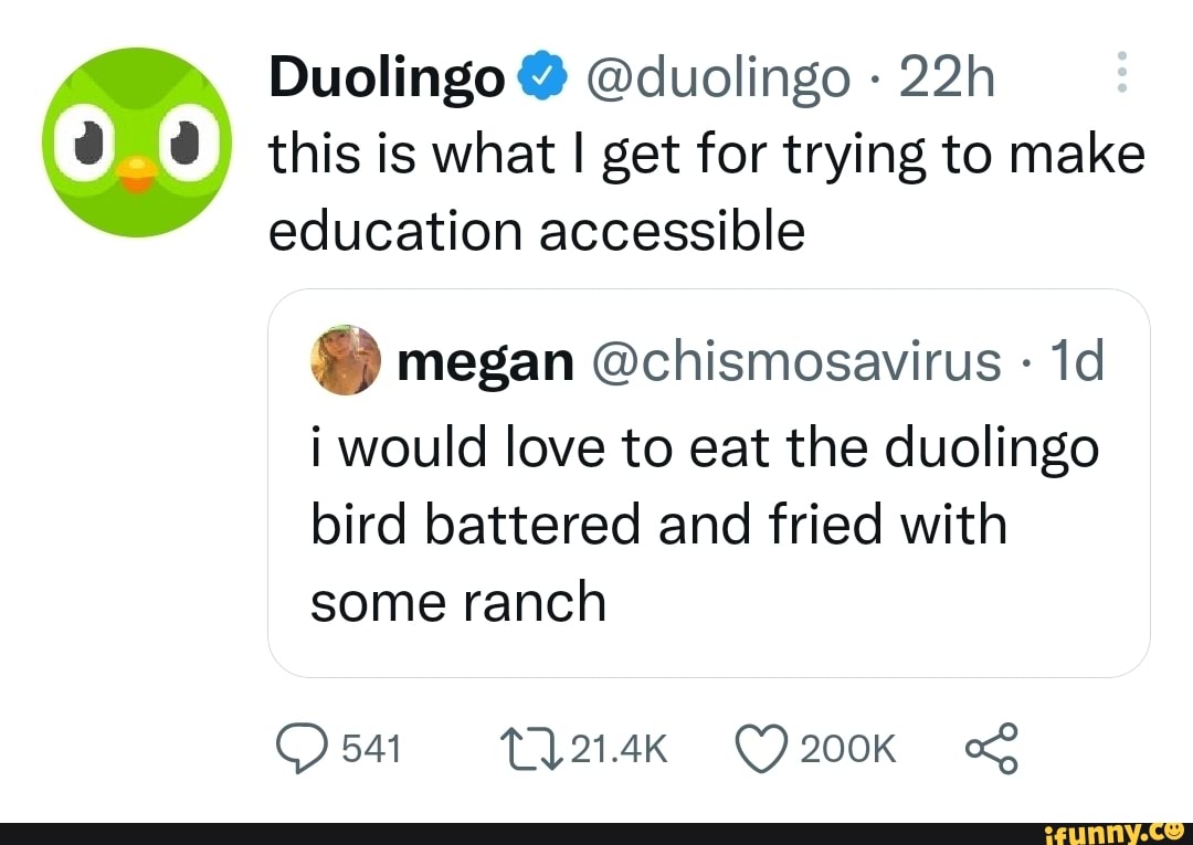 Duolingo duolingo this is what I get for trying to make education