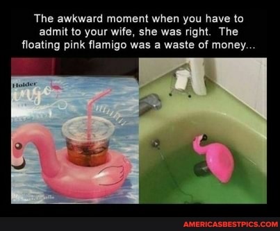 The awkward moment when you have to admit to your wife, she was right. The floating pink flamigo was a waste of money..