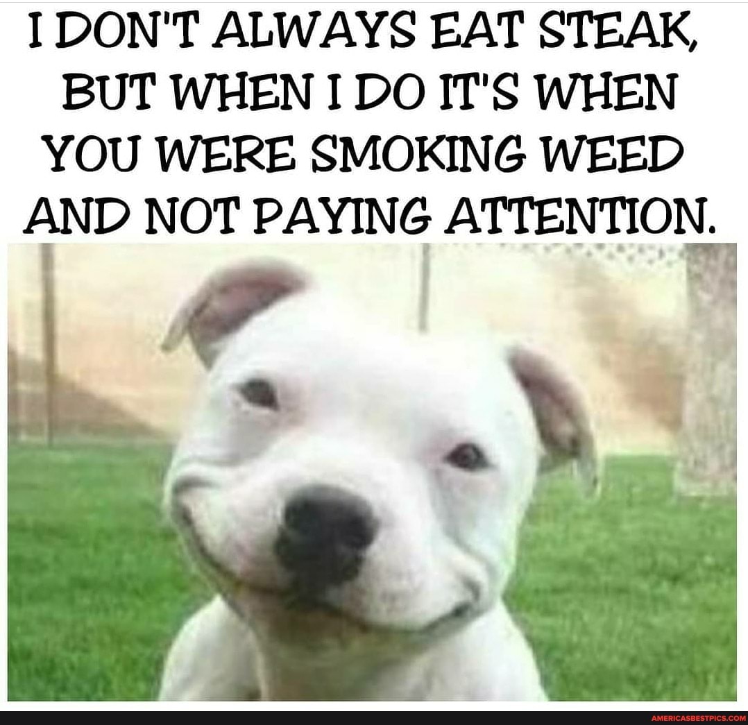 DON'T ALWAYS EAT STEAK,
BUT WHEN I DO IT'S WHEN YOU WERE SMOKING WEED AND NOT PAYING ATTENTION.
rr