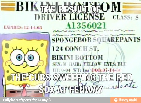 LICENSE
REE TA ES
124 CONCH ST.
BIKINI LOTTOM
2 SEX: HAIR: YELLOW EYES: BILL
NOAA OUT ES HT