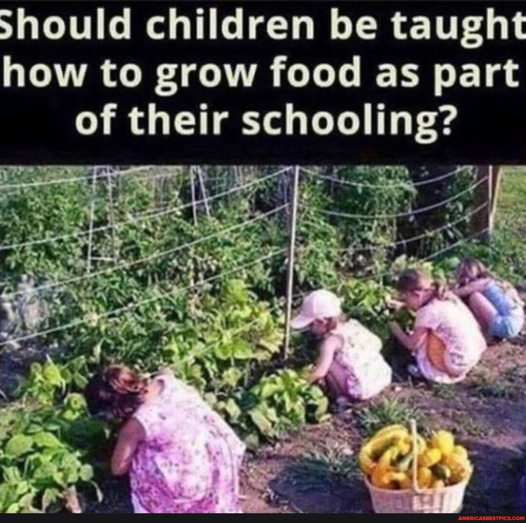 should children be taught how to grow food as part of their schooling?
Gs 520.
LAS