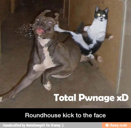 Roundhouse kick to the face - Roundhouse kick to the face