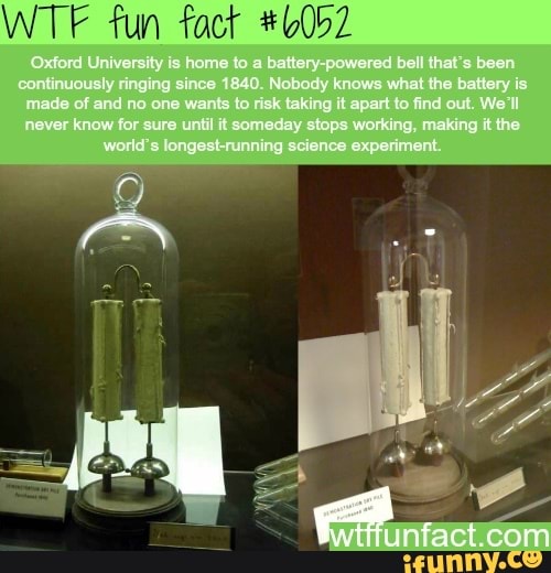 WTF fun fact #0052