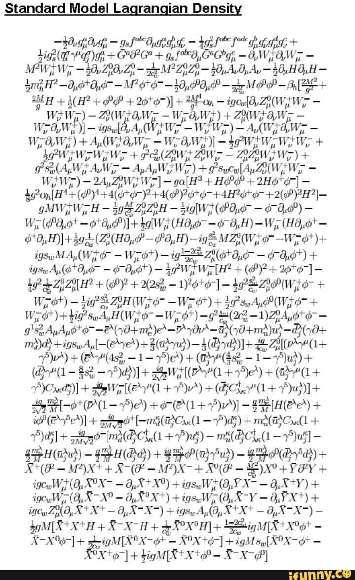 Standard Model Lagrangian Density - iFunny