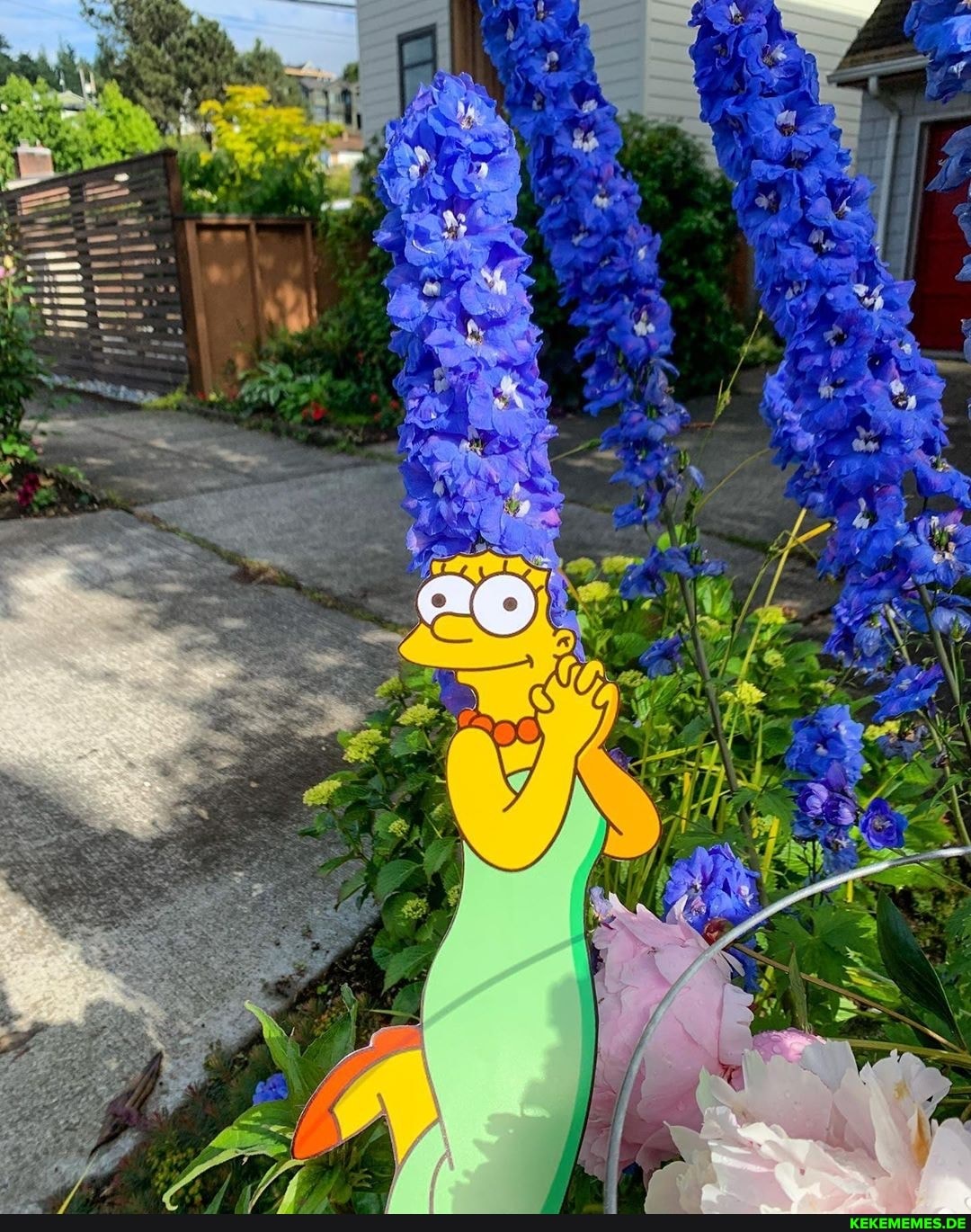 \ {
er,
IL
te
ag
Ns
bee
BS