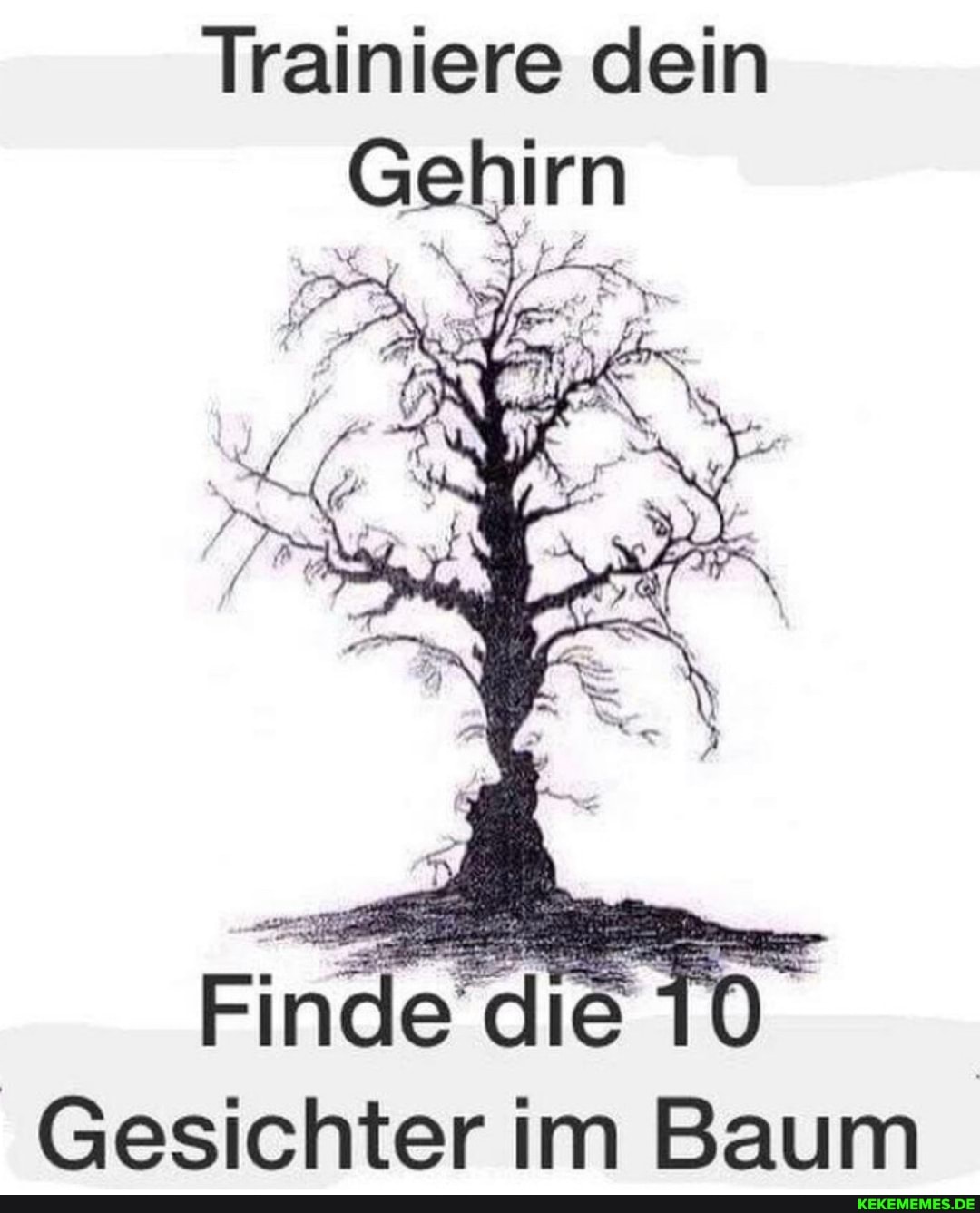 Trainiere dein
Gehirn
Finde die
Gesichter im Baum
