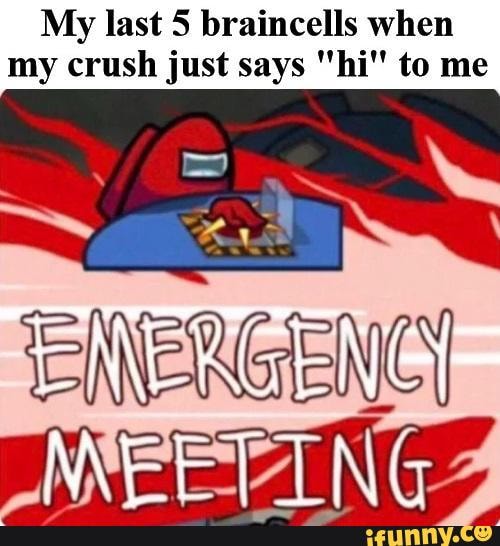 My last 5 braincells when my crush just says "hi" to me