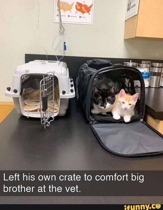 In 2015 a 16 “year old Honduran girl named Neysi Perez was mistakenly