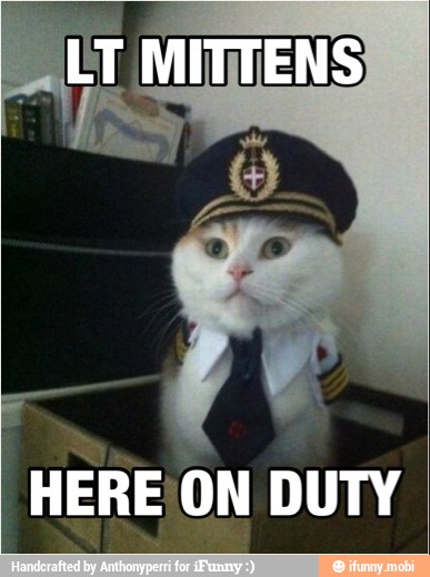 HERE ON DUTY