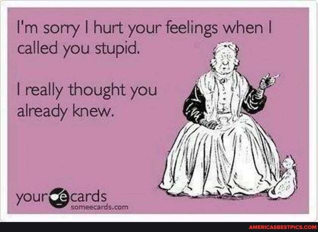 I M Sorry I Hurt Your Feelings When Called You Stupid I Really Thought You Already Knew Cards America S Best Pics And Videos I M Sorry I Hurt Your Feelings When Called You Stupid I Really Thought You Already Knew Cards America S Best Pics And Videos
