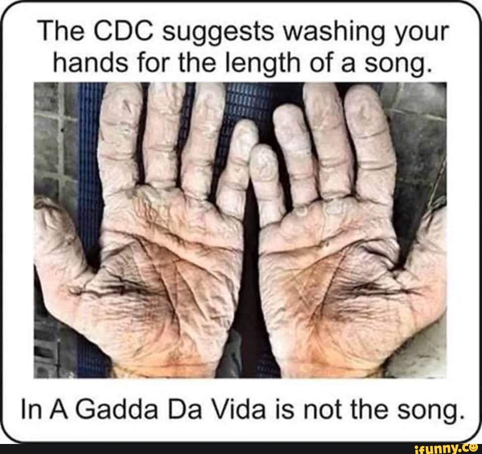 gadda-memes-best-collection-of-funny-gadda-pictures-on-ifunny