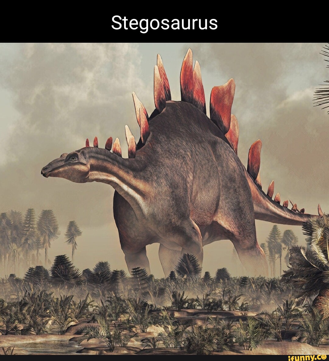 Stegosaurus memes. Best Collection of funny Stegosaurus pictures on iFunny