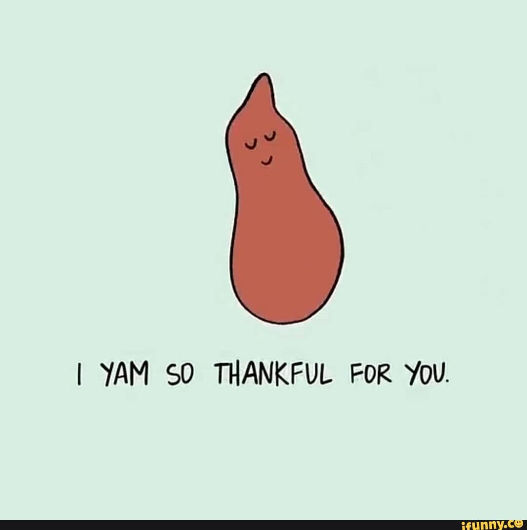 I YAM SO THANKFUL FOR YoU. - iFunny